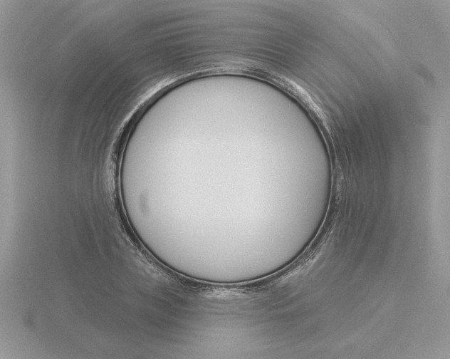 X0000115830835200912111310