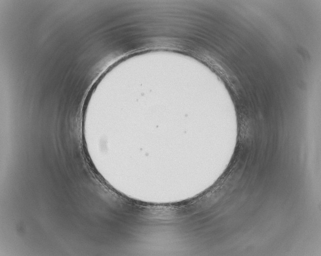 X0000115830836200912111311