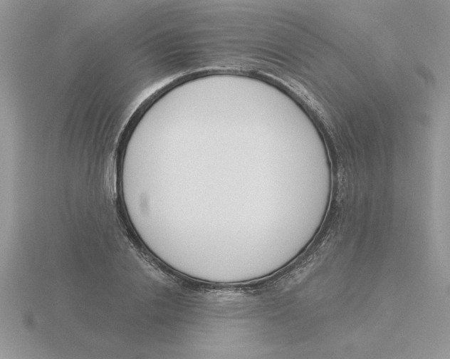 X0000115830838200912111311