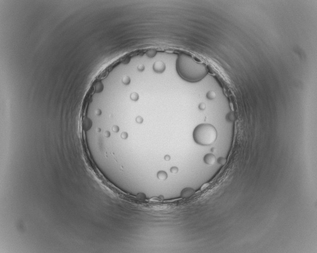 X0000115830839200912111311