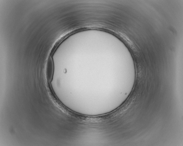 X0000115830840200912111311