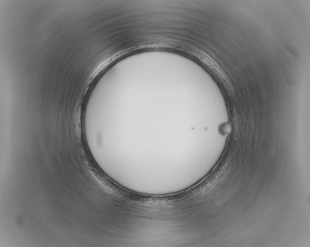 X0000115830842200912111311