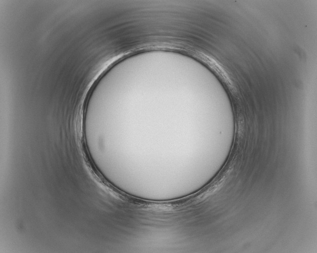 X0000115830844200912111311