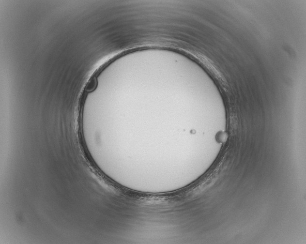 X0000115830846200912111311