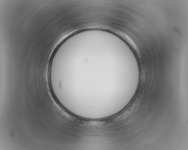 X0000115830847200912111311