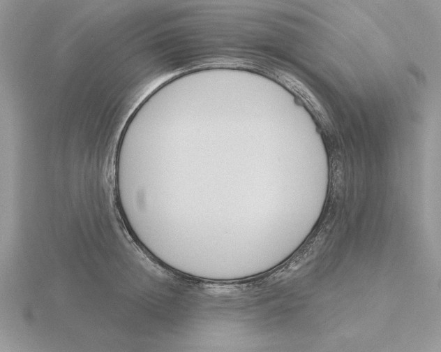 X0000115830852200912111311