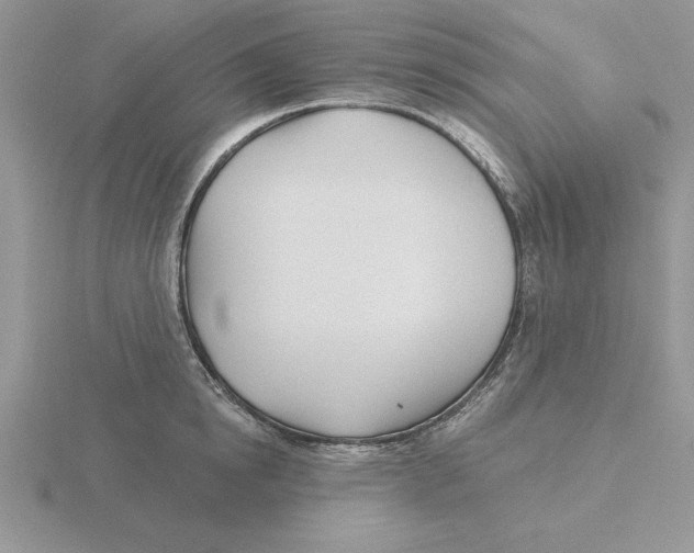 X0000115830854200912111311