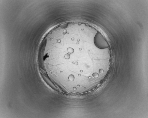 X0000115830855200912111311