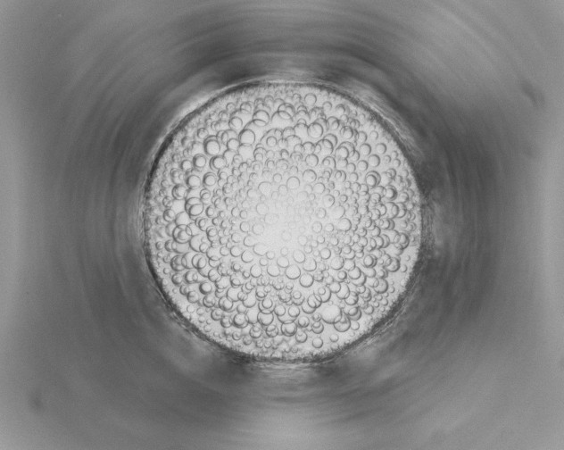 X0000115830856200912111311