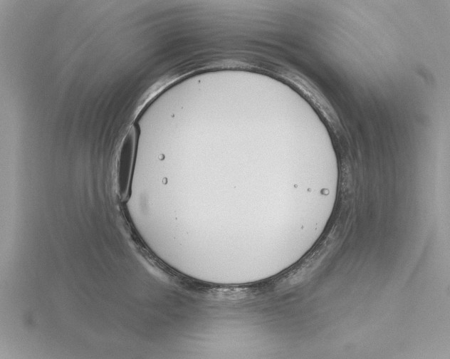 X0000115830858200912111311