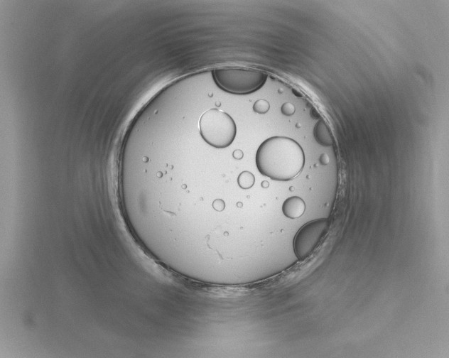 X0000115830859200912111311