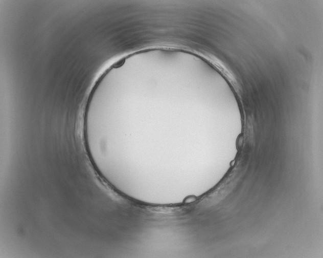 X0000115830862200912111311