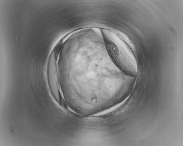 X0000115830863200912111311