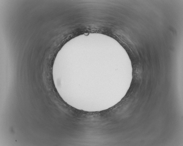 X0000115830865200912111310