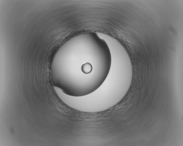 X0000115830868200912111310