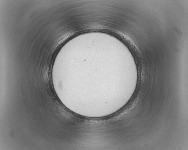 X0000115830873200912111310