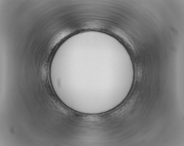 X0000115830874200912111310