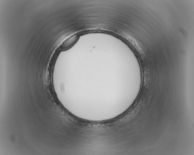 X0000115830876200912111310