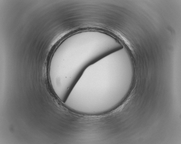 X0000115830877200912111310