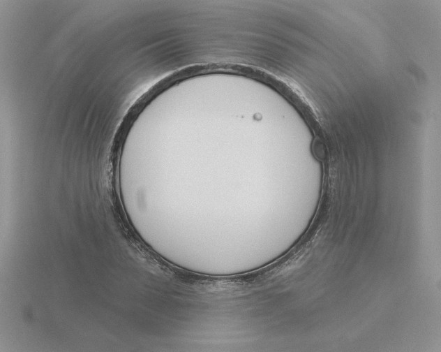 X0000115830879200912111310