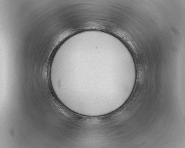 X0000115830882200912111310