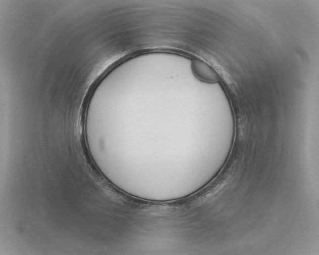 X0000115830885200912111310