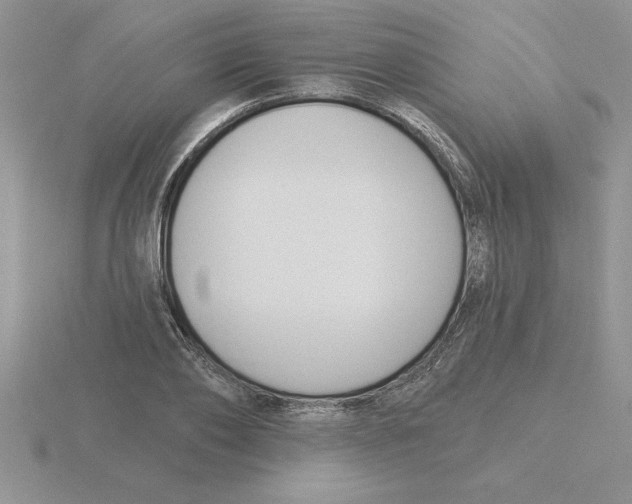 X0000115830886200912111310