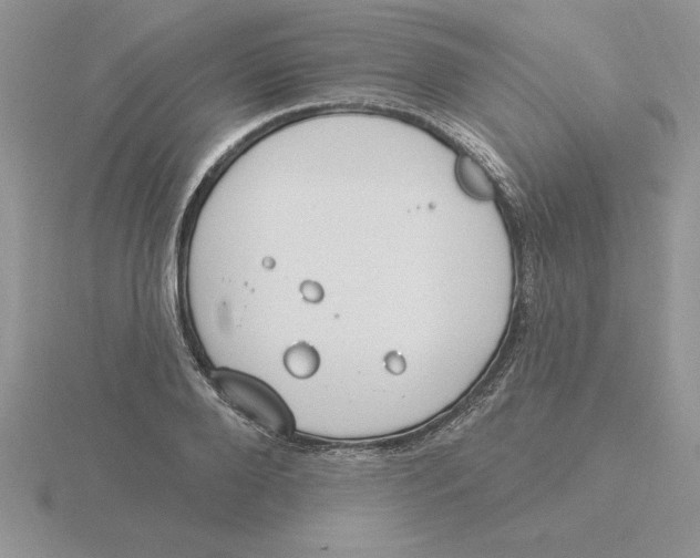 X0000115830888200912111310