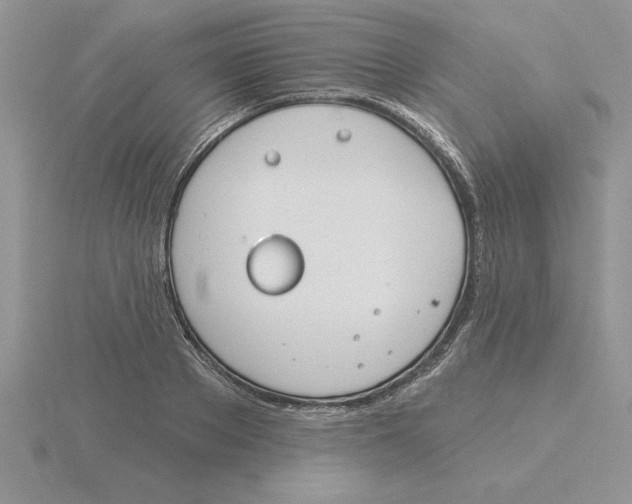 X0000115830889200912111310