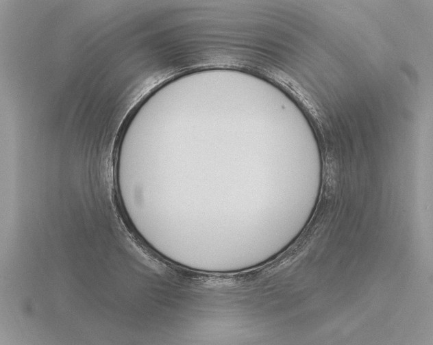 X0000115830890200912111310