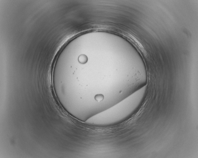 X0000115830891200912111310