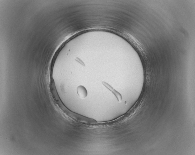 X0000115830892200912111310