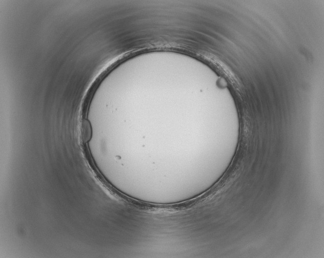 X0000115830894200912111310