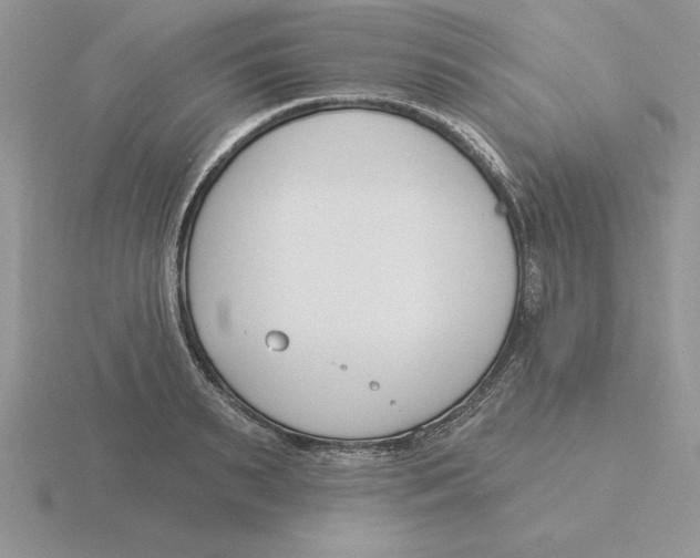 X0000115830895200912111310