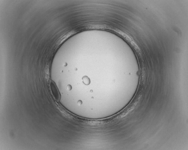 X0000115830897200912111310