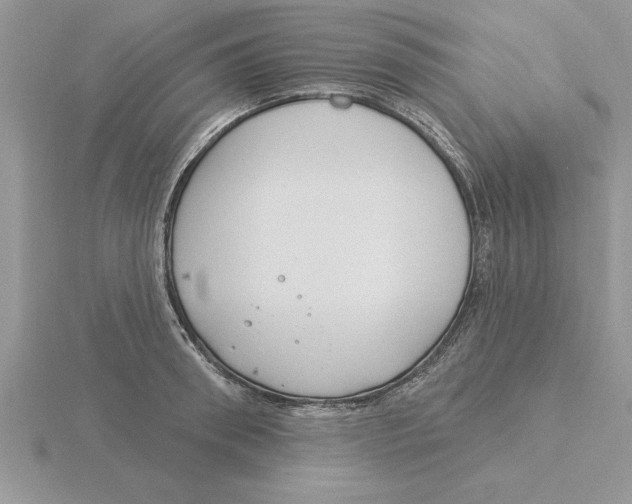 X0000115830898200912111310