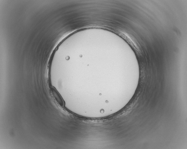 X0000115830900200912111310