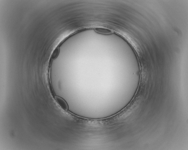 X0000115830901200912111310