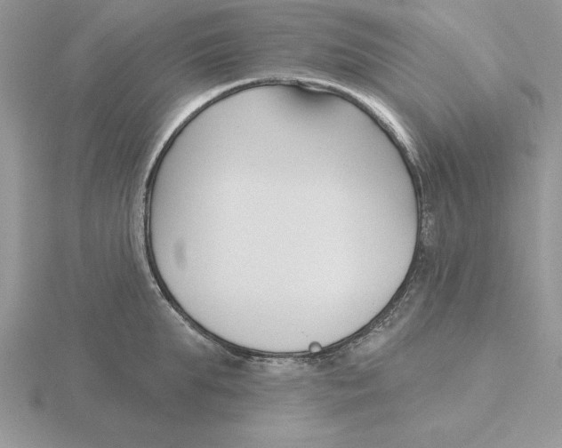 X0000115830903200912111310