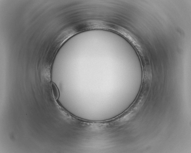 X0000115830905200912111310