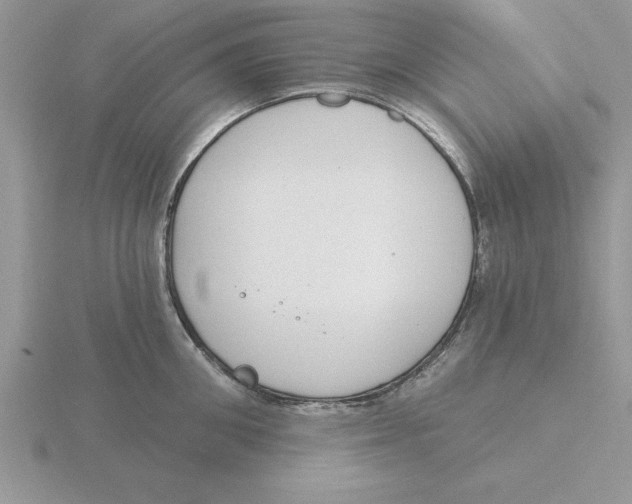 X0000115830906200912111310