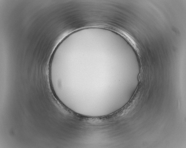 X0000115830907200912111310