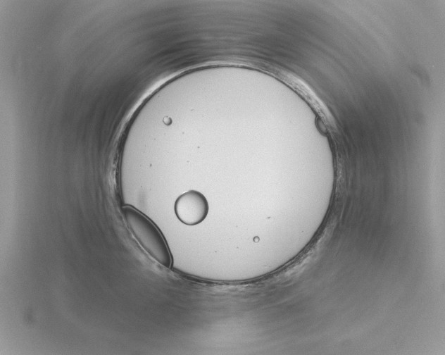 X0000115830908200912111310