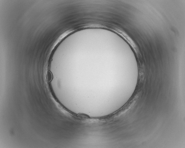 X0000115830909200912111310