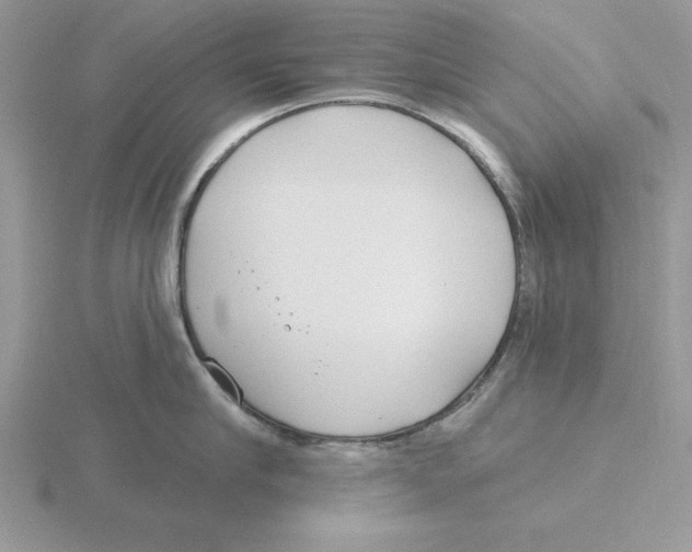 X0000115830910200912111310