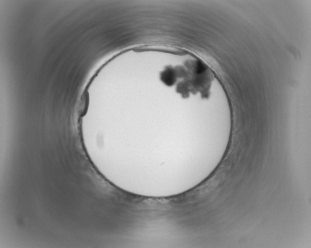 X0000115830912200912111310