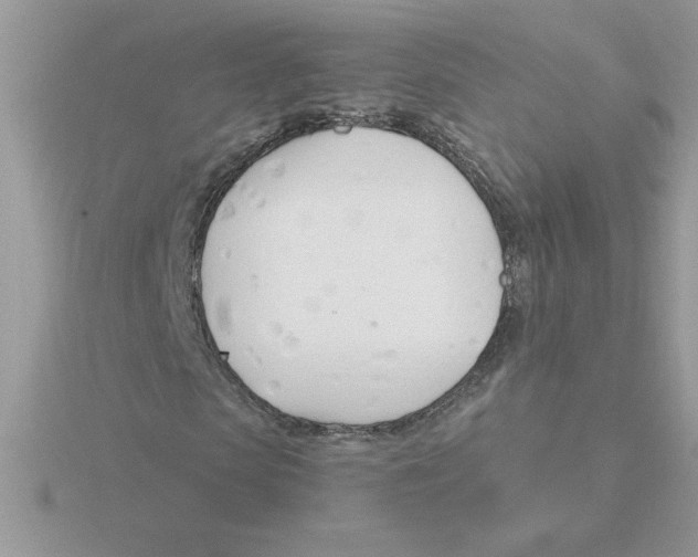 X0000115830913200912111309