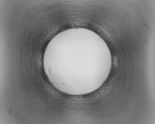 X0000115830915200912111309