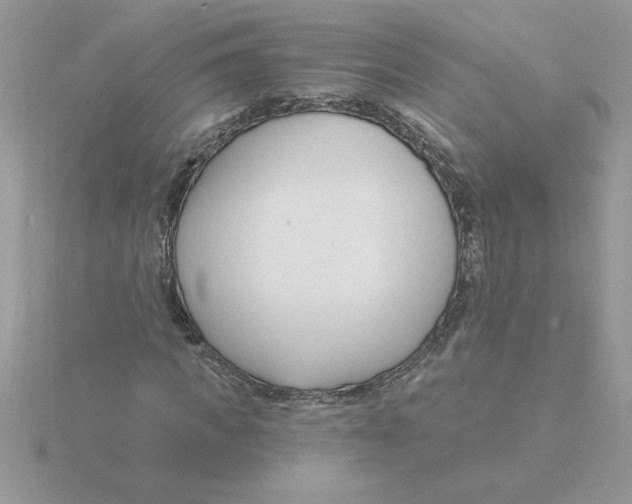 X0000115830917200912111309