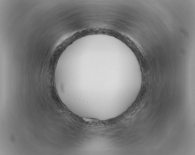 X0000115830919200912111309